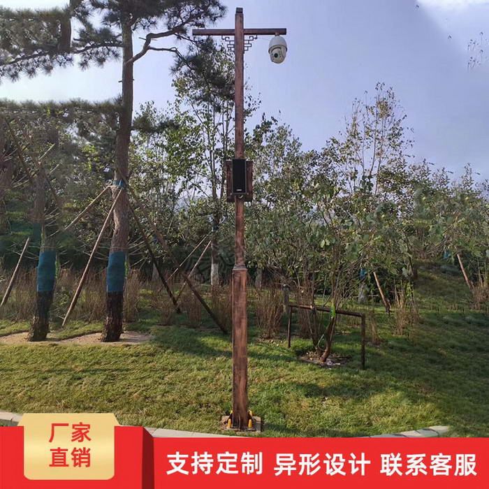 點(diǎn)擊查看商品:監(jiān)控桿